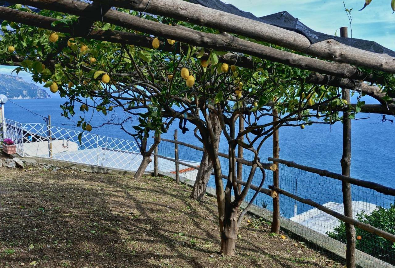 Chez Amelie Villa Амалфи Екстериор снимка